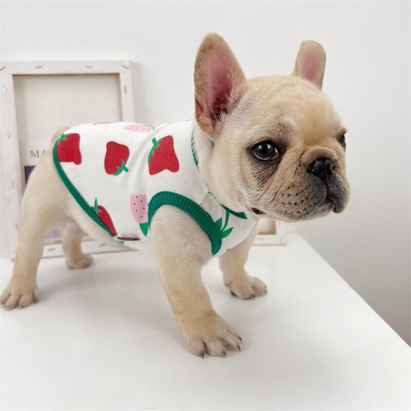 可爱草莓印花狗狗衣服夏季薄款背心纯棉法斗巴哥泰迪比熊宠物衣服