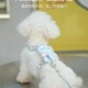 狗狗牵引绳舒适可爱胸背带设计适合小型犬泰迪犬幼犬安全遛狗神器