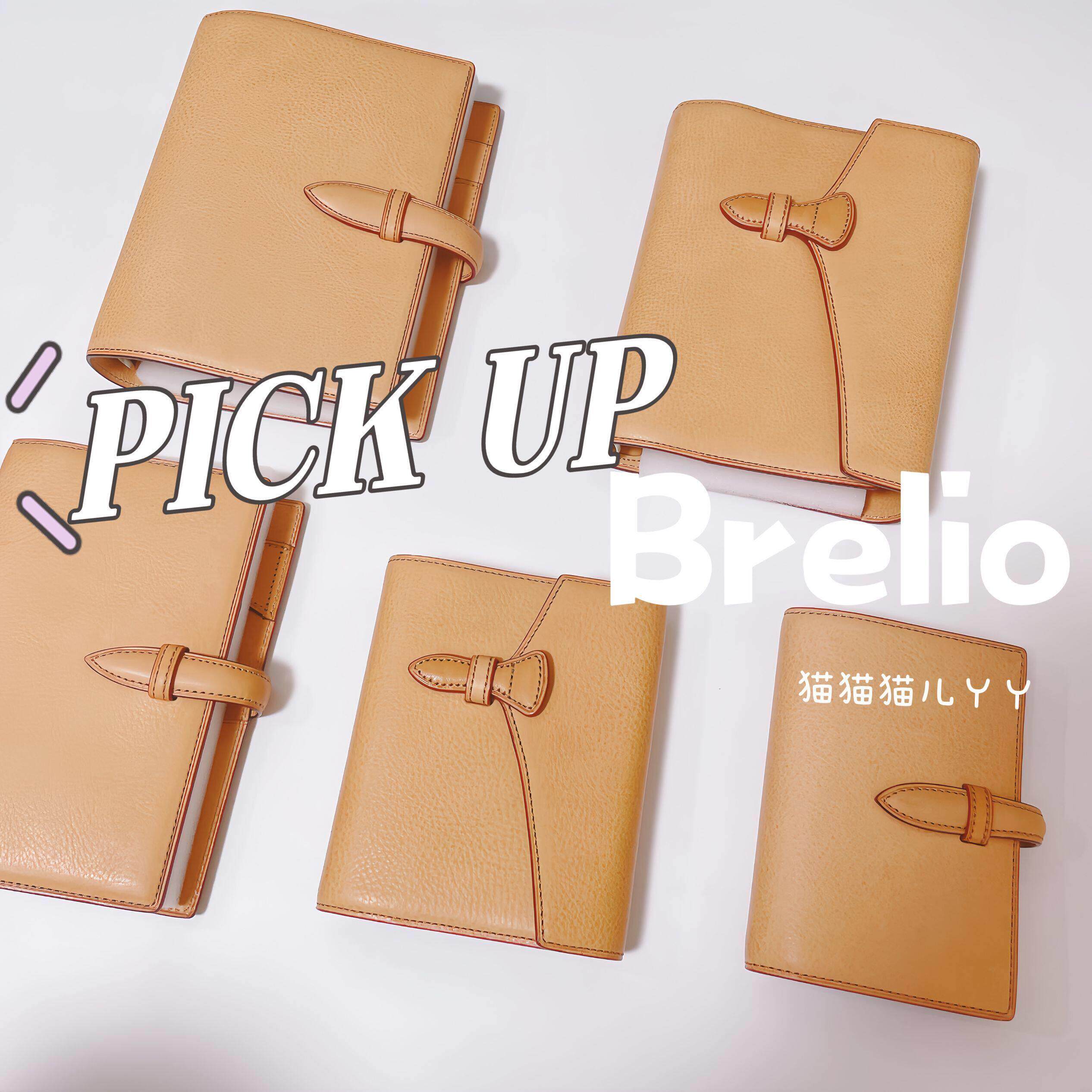 手账儿必入！Brelio mbox牛皮裸色活页手账m5A7/A6二折插扣30环