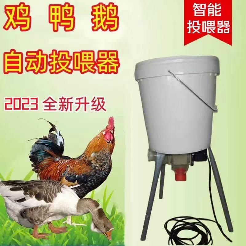 鸽子喂料玉米220v养鸡喂食器懒人自动定时远程下料盒家禽喂食器
