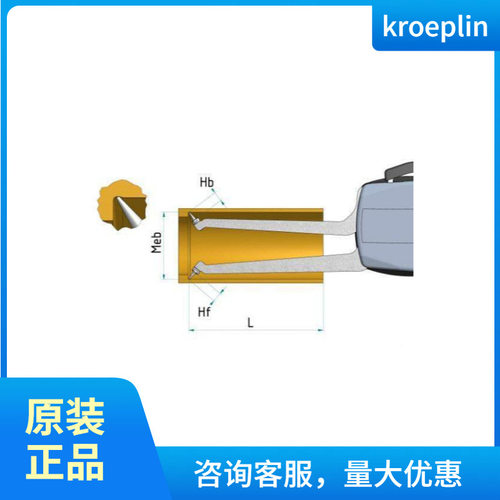 货源德国kroeplin盲孔指针内径卡规 H2G30