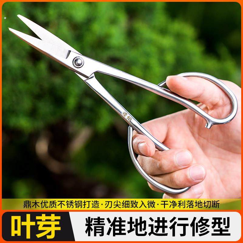 加强叶芽剪刀全不锈钢园艺剪嫩芽修枝小枝切剪盆景长杆剪刀,鲜花速递/花卉仿真/绿植园艺,剪刀,淘宝优惠券,粉丝福利购,淘宝优惠卷