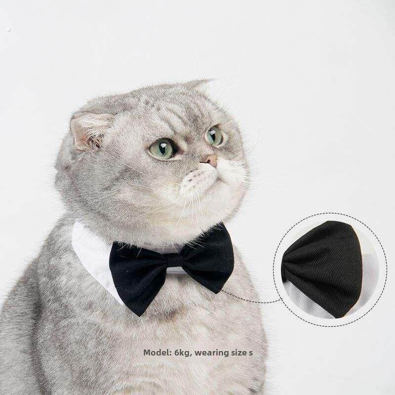 猫饰品猫项圈蝴蝶结领带小猫脖子项圈宠物小猫绅士可爱的猫派对