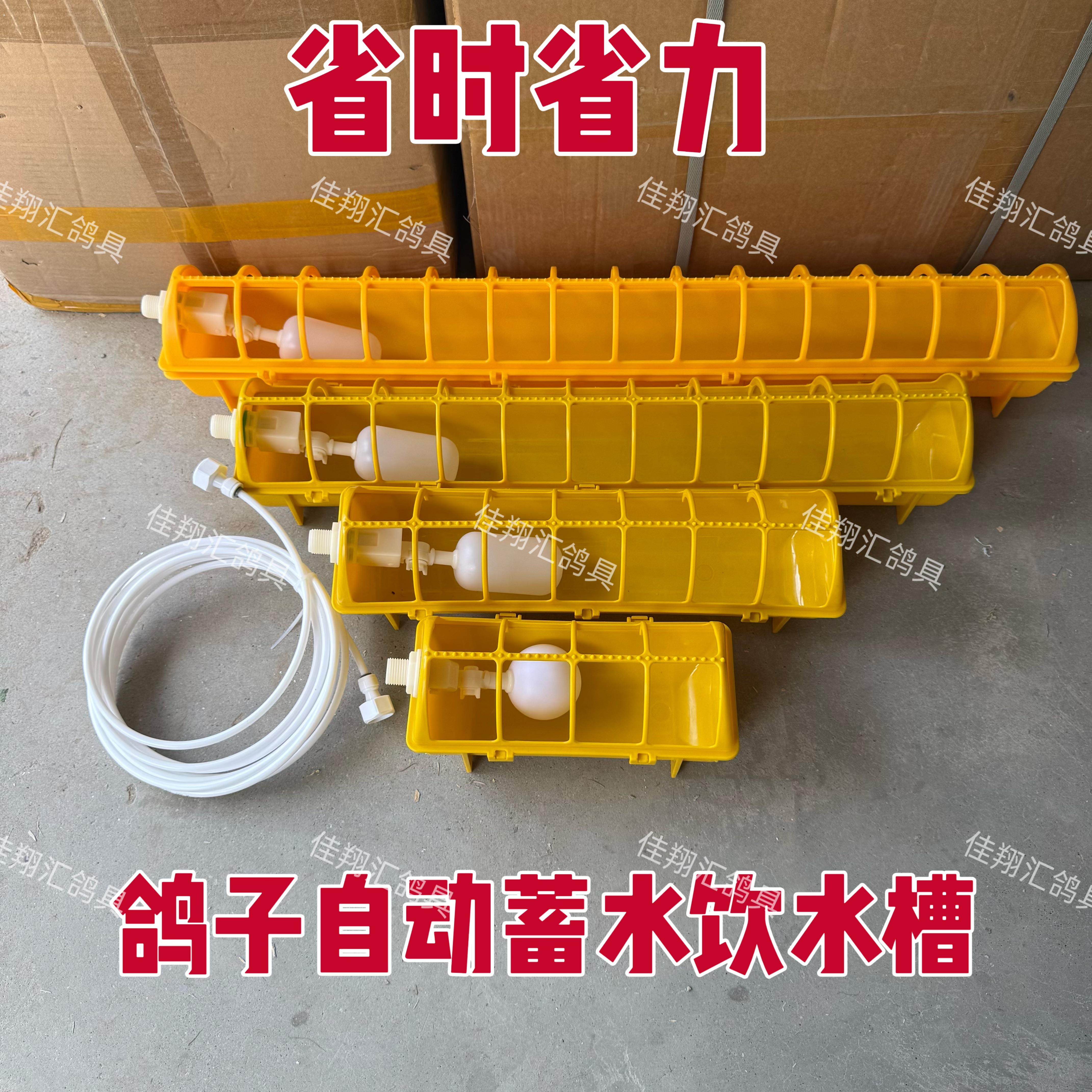 新款鸟家禽鸽子多孔自动蓄水槽饮水器鸽用水壶喝水赛鸽鸽具用品