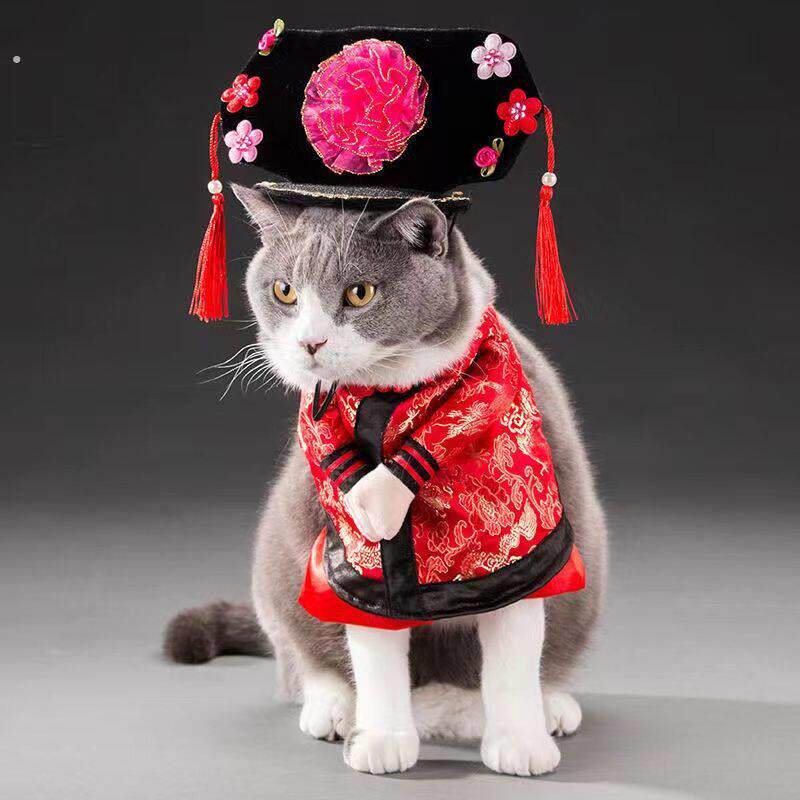 猫咪衣服狗狗宠物服饰可爱小猫咪夏季搞笑搞怪装立体衣服拍摄道具