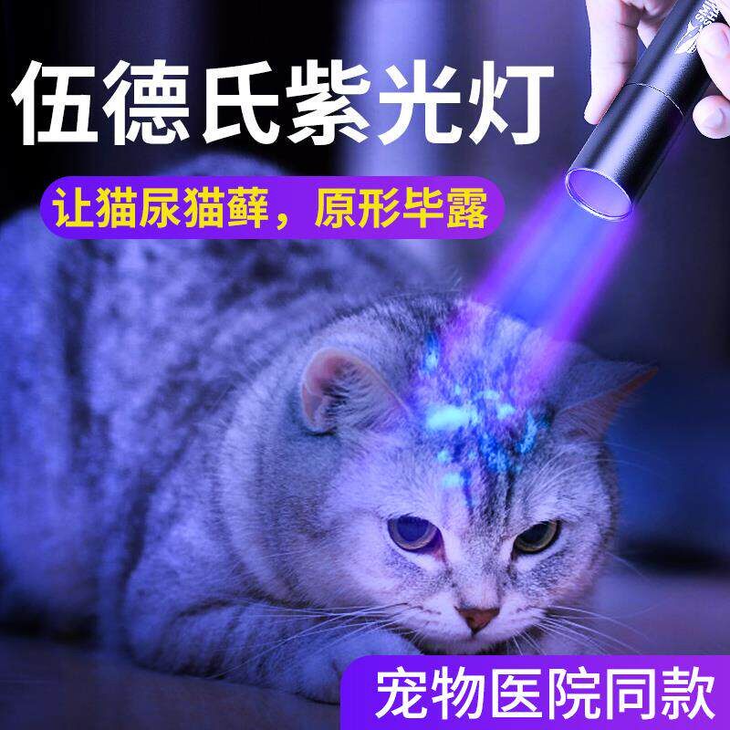 逗猫棒手电筒伍德氏灯