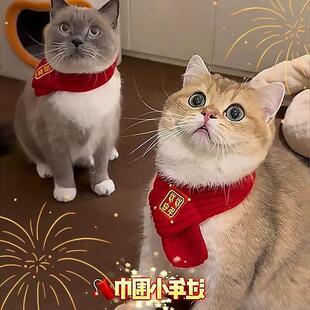 猫咪新年围巾宠物围脖红色保暖中国风口水巾围兜狗狗新年装饰品
