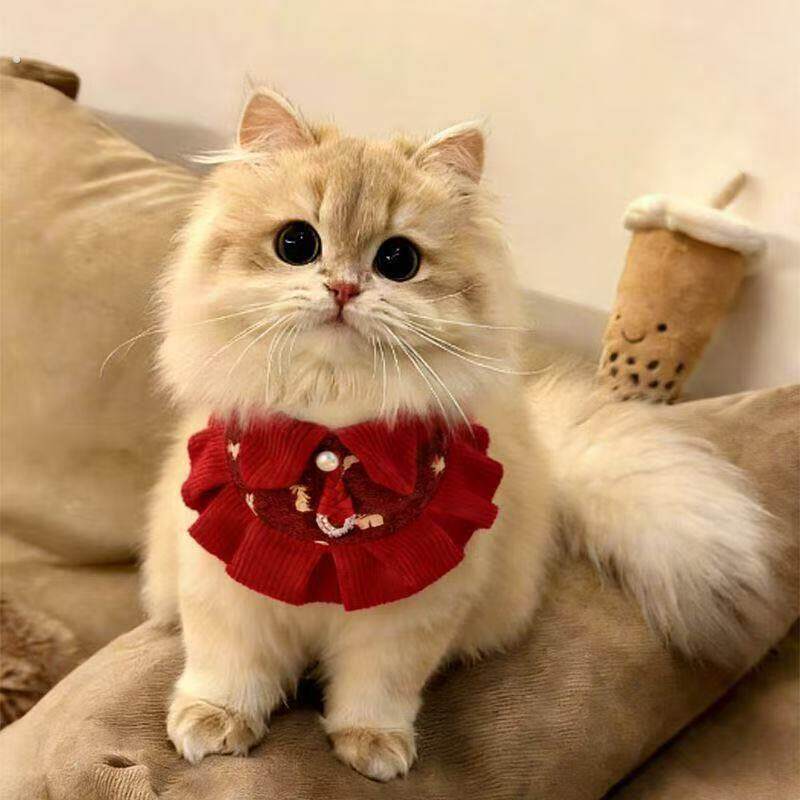 宠物三角巾荷叶边小狗猫咪围巾四季通用新年喜庆红色围脖