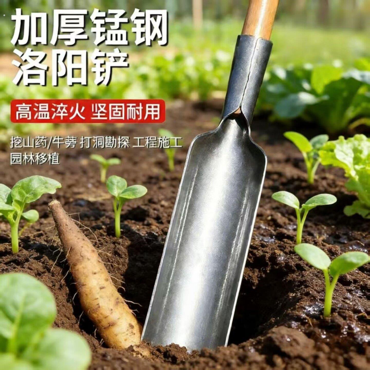 洛阳铲正宗打洞取土器农用挖土挖洞挖坑神器种树栽树打孔打眼工具