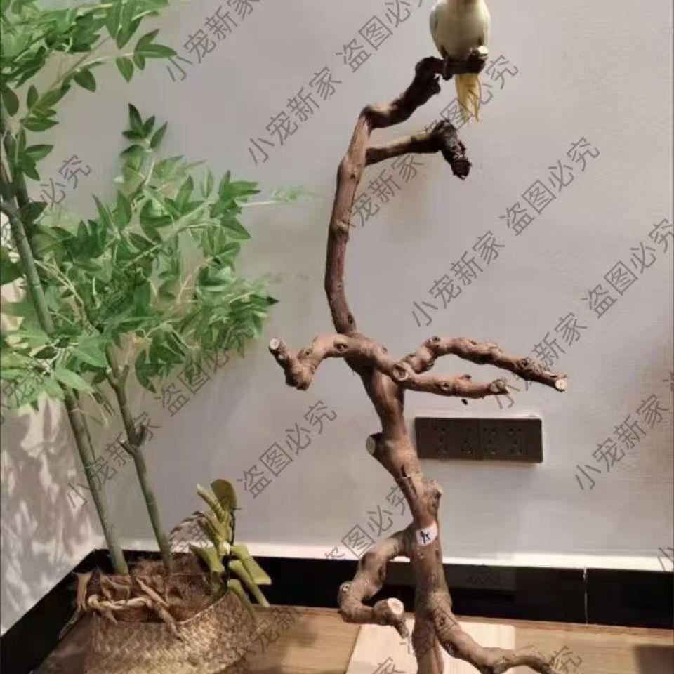鸟站架鹦鹉树枝训练架子牡丹架杆玄凤站杠落地式桌面鸟架立式原木图片