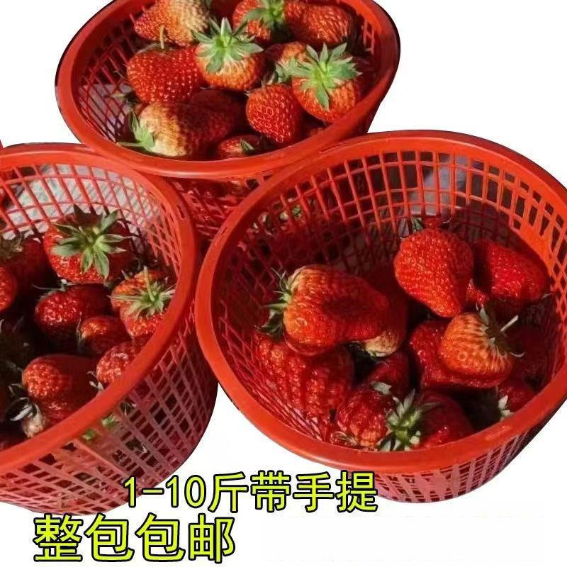 圆形草莓篮子1-10斤手提篮塑料水果筐蓝莓篮樱桃篮蓝莓采摘篮