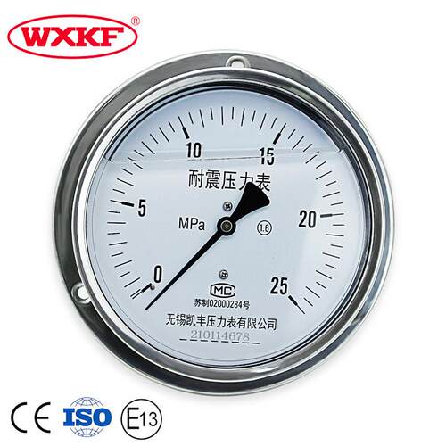 YN150BFZ无锡凯丰不锈钢耐震压力表 轴向带边高低温耐腐蚀M20