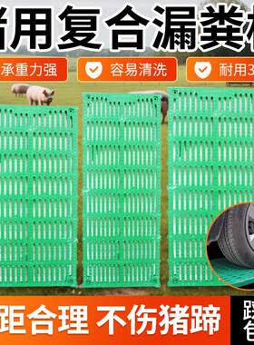 母猪用复合产床保育床定位栏小猪仔育肥复合漏粪板养殖场专用设备