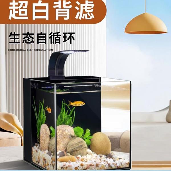 超白反滤鱼缸,免换水,台式鱼缸,斗鱼鱼缸,生态鱼缸,水生植物