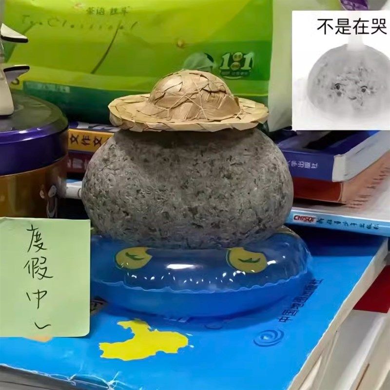 纯天然鹅卵石宠物石头可爱风桌面摆件养石头网红宠物陪伴萌趣石头,家居饰品,桌面摆件,淘宝优惠券,粉丝福利购,淘宝优惠卷