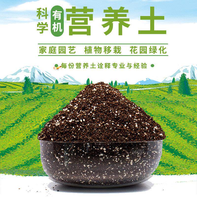 多肉营养土养花通用型花土肥料有机种菜花盆栽家用绿萝植物土壤肉