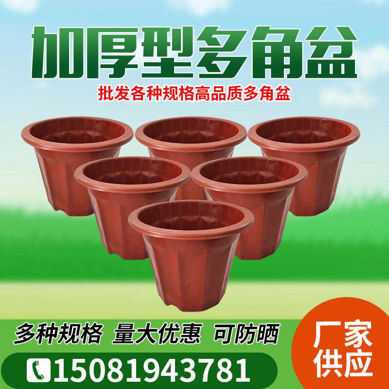 多角盆一次性加厚型塑料花盆植物育苗盆橘红色盆蔬菜瓜果种植盆