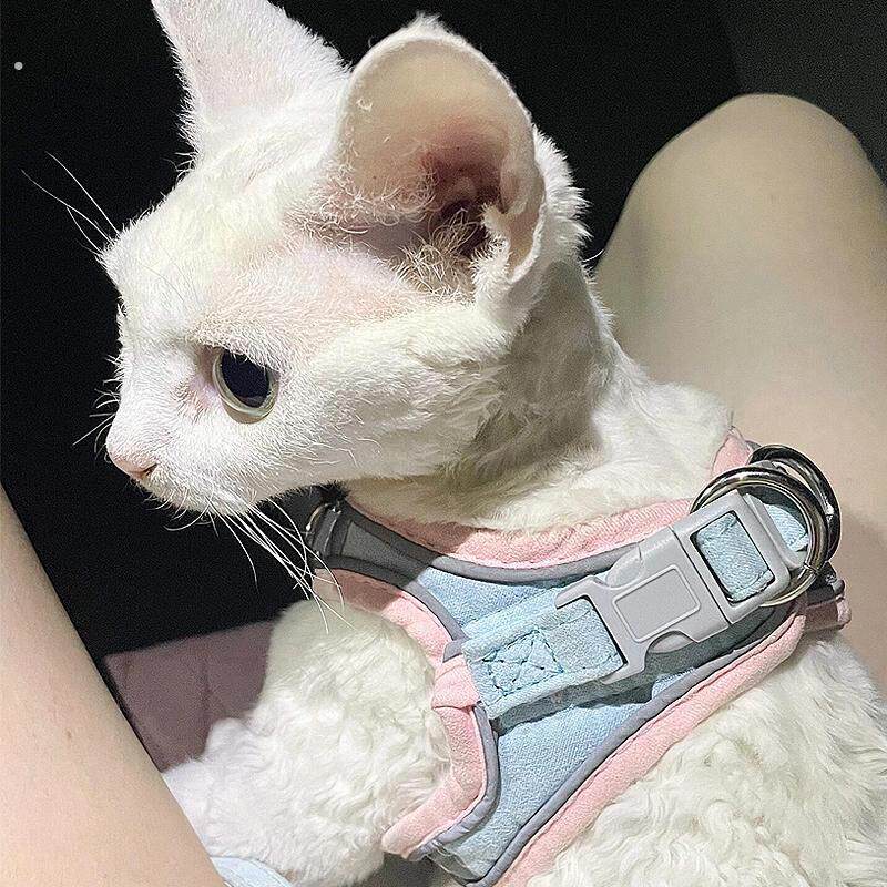 德文牵引绳猫衣服牵引绳猫咪外出遛猫专用背心式胸抱婴袋宠物防挣