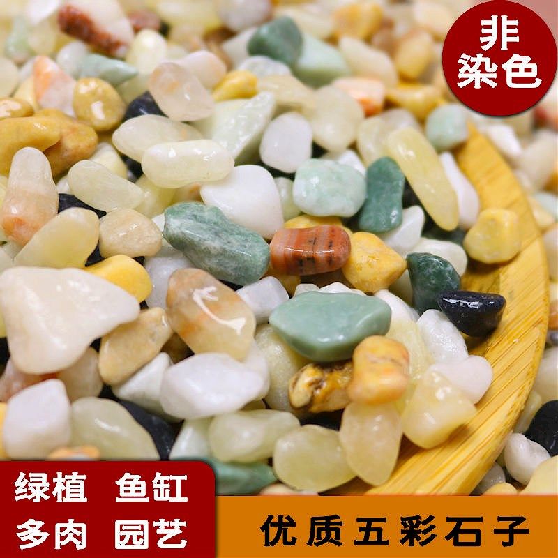 鱼缸底砂溪流石沙水族箱装饰乌龟龟缸造景全套石头子铺底五彩石子,宠物/宠物食品及用品,造景/装饰,淘宝优惠券,粉丝福利购,淘宝优惠卷