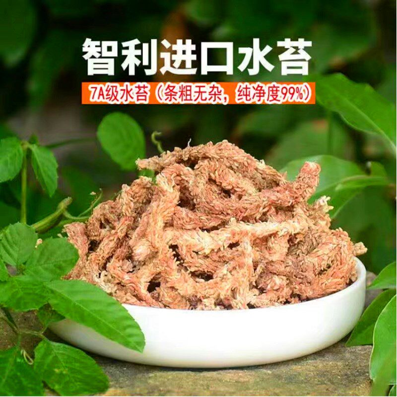 天然干苔藓青苔蝴蝶兰花石斛育苗种植营养土水苔乌龟冬眠垫材椰土
