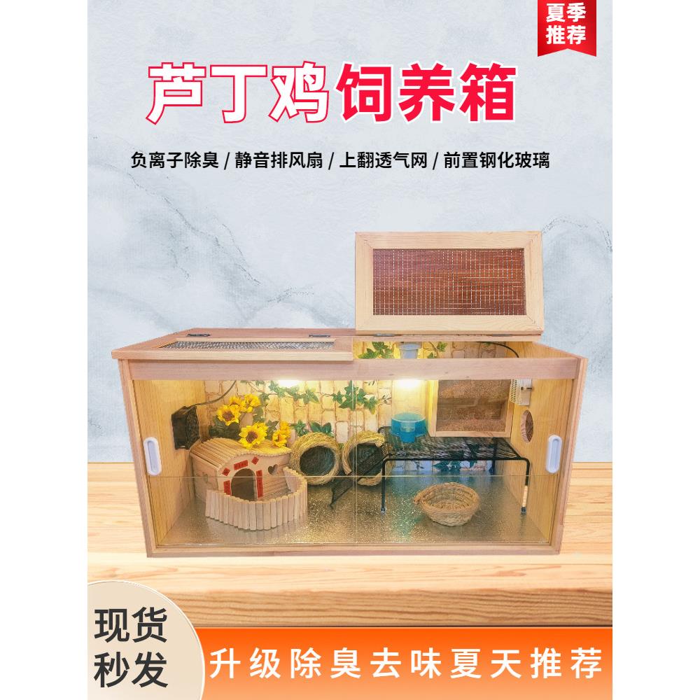 芦丁鸡笼恒温育雏箱放大仓鼠笼爬行动物笼宠物鸡笼松木实木窝