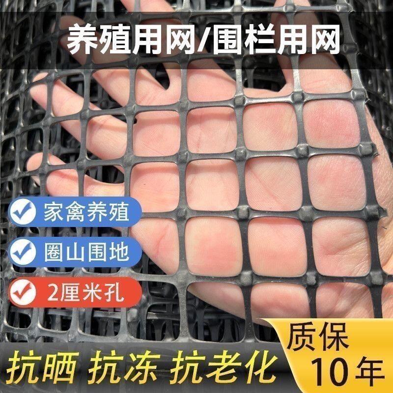 小孔塑料加密围栏网防鸟网2厘米孔养鸡鸭育雏漏粪大棚养殖加厚