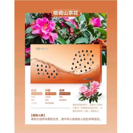 布莱雅车载香膏车载香薰月光宝盒净味炭膏高级淡香持久固体