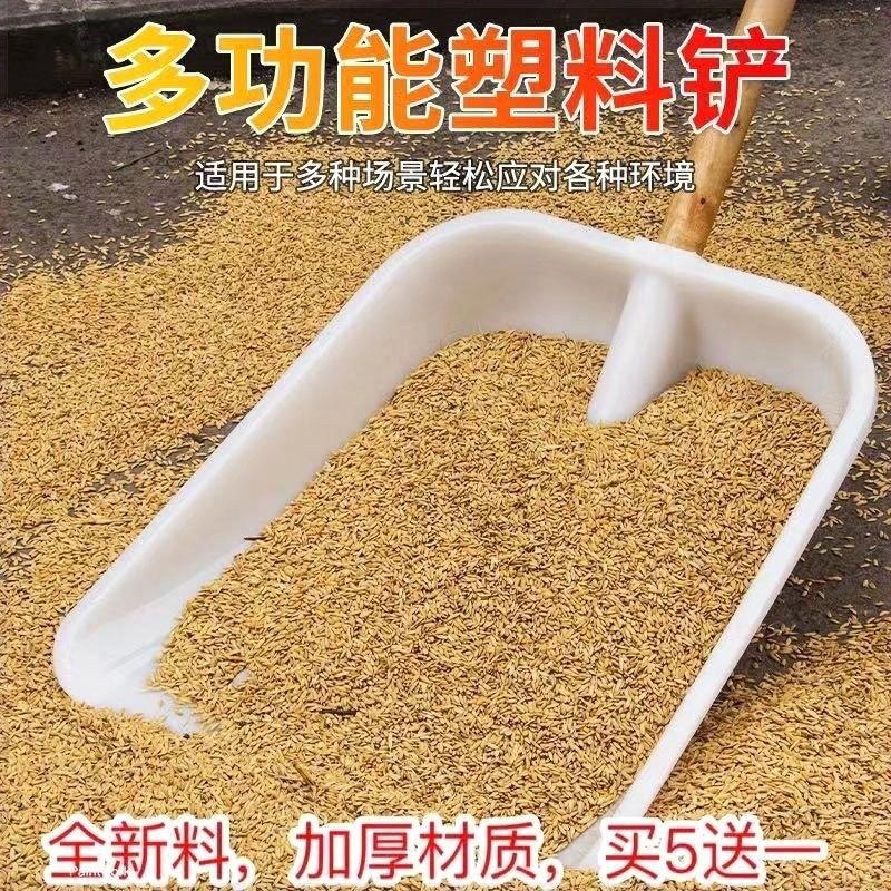 钢化塑料锹铲进口加厚耐用家用铲雪铲玉米铲稻谷垃圾农用工具农具,农机/农具/农膜,锨,淘宝优惠券,粉丝福利购,淘宝优惠卷