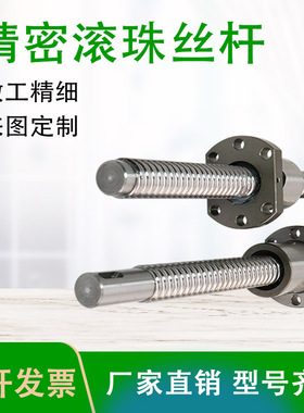 定制加工滚珠丝杆SFU 1204 1610 2005 2505 4010 精密丝杠螺母