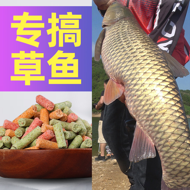 钓草鱼专攻饵料黑坑草鱼颗粒专用钓饵野钓专用打窝料大物皮筋颗粒,户外/登山/野营/旅行用品,活饵/谷麦饵等饵料,淘宝优惠券,粉丝福利购,淘宝优惠卷