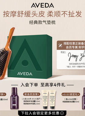 【刻字专享】Aveda艾梵达气垫按摩梳 头皮护理造型气囊梳子便携