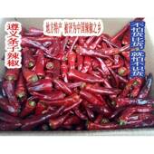 贵州特产遵义虾子茅坡条子超香特香干 干辣椒干海椒一斤中辣