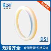 防尘密封油封DSI防尘密封件工业密封件液压与气动密封件机