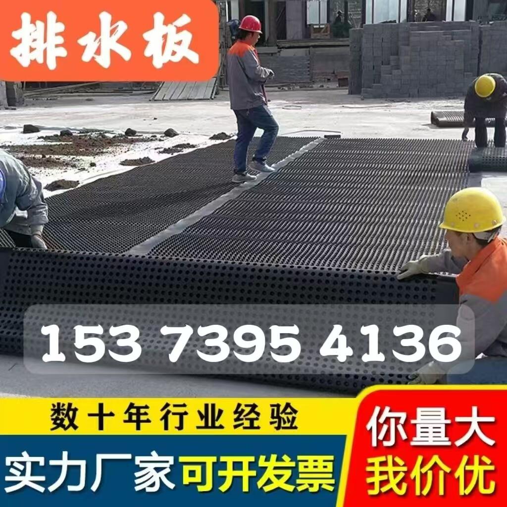排水板塑料蓄屋顶绿化楼顶花园阻根防排水板滤水板高强度导疏水板