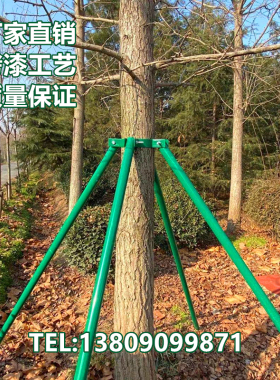 树木支撑架镀锌钢管绿色烤漆园林绿化支撑固定器大树支撑架铁抱箍