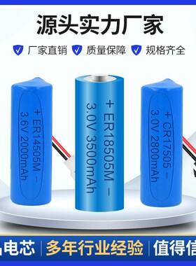 ER14505/18505M智能水表电池CR1705/17450/ IC5插卡水表锂V.6V*