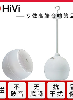 Hivi/惠威 TW103惠威吊球音响天花球形背景音乐餐厅咖啡厅喇叭