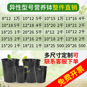 异型营养钵加高加厚苗木种植袋黑色塑料育苗盆异形营养杯育苗杯