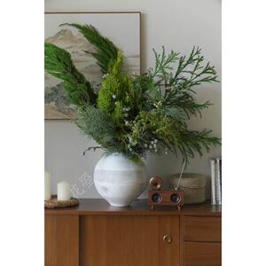 花曌 耶诞节限定家居瓶插花侧柏雪花松枝龙柏松真的鲜活松枝水培