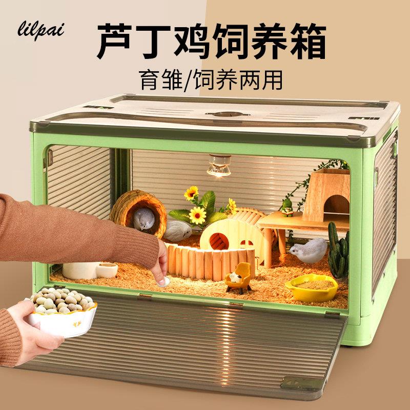芦丁鸡饲养箱全套宠物用品鹦鹉鸟笼鹌鹑笼子造景专用保温恒温育雏图片