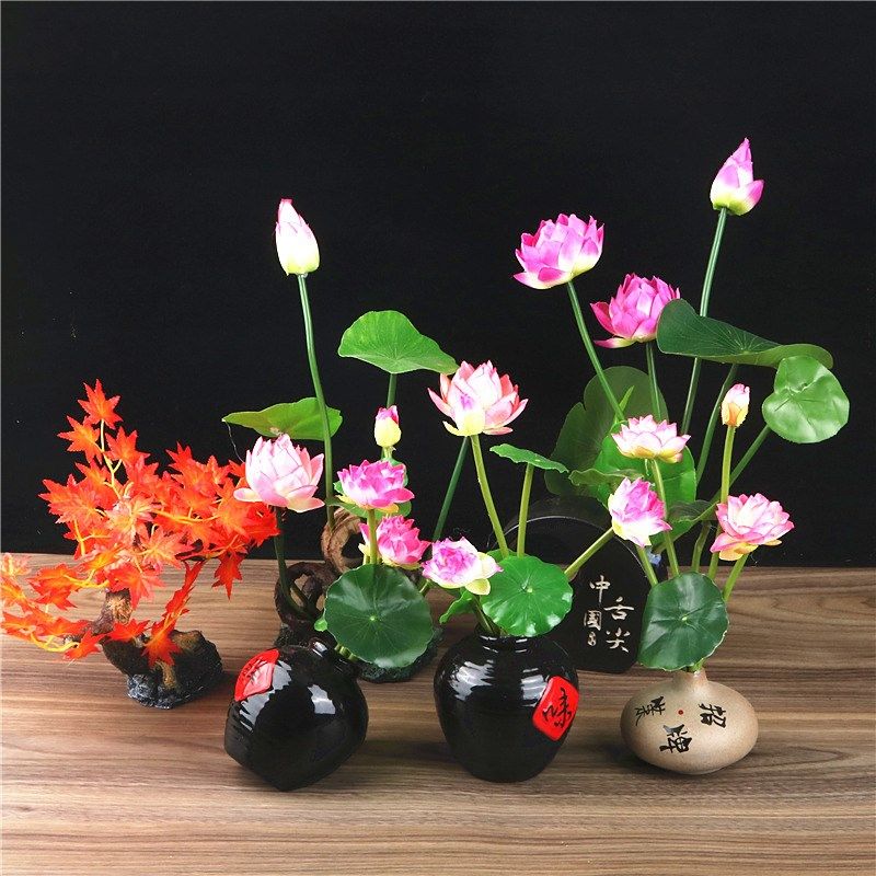 酒店摆盘装饰创意菜品刺身装饰品摆盘餐盘饰冷盘装盘点缀创意花草,厨房/烹饪用具,寿司套件/料理套件,淘宝优惠券,粉丝福利购,淘宝优惠卷