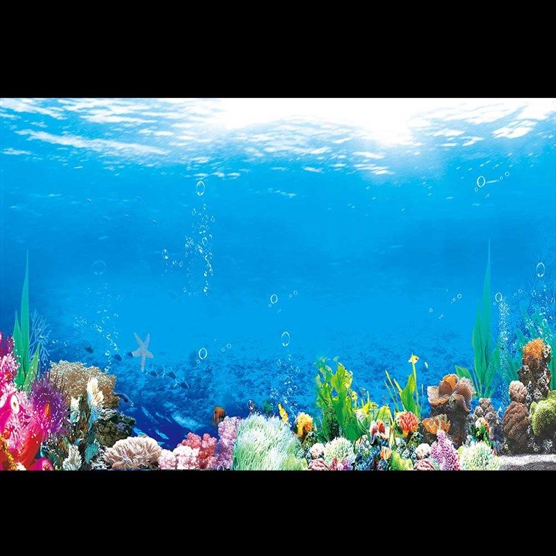 鱼缸背景高清贴图海洋风格免胶自粘设计 流水生财水族箱壁装饰,宠物/宠物食品及用品,底柜/落地缸,淘宝优惠券,粉丝福利购,淘宝优惠卷