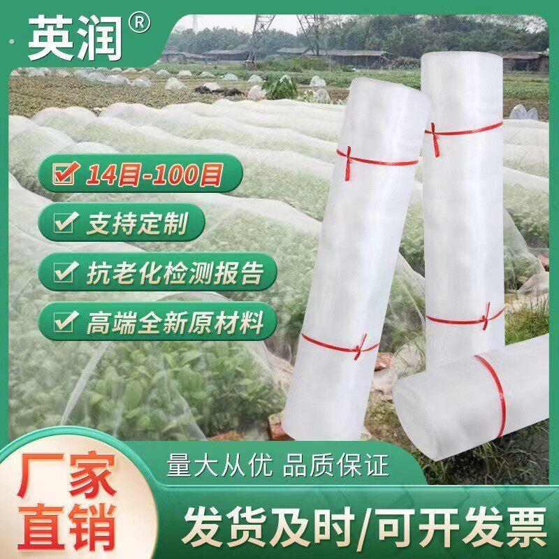 蔬菜大棚防虫网加厚抗老化防虫网罩果树蚂蚱养殖猪场纱网防虫网