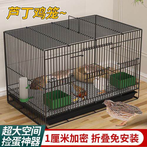 芦丁鸡专用养殖笼子家用加密大号芦丁鸡铁丝笼小鸡小鸭子鹌鹑鸟笼