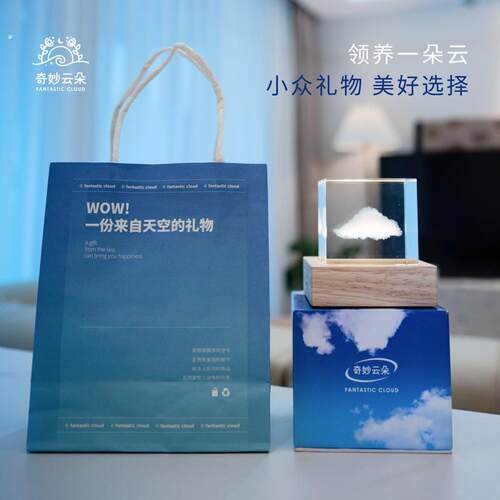 治愈系创意桌面摆件小众高级生日礼物送朋友闺蜜礼盒装
