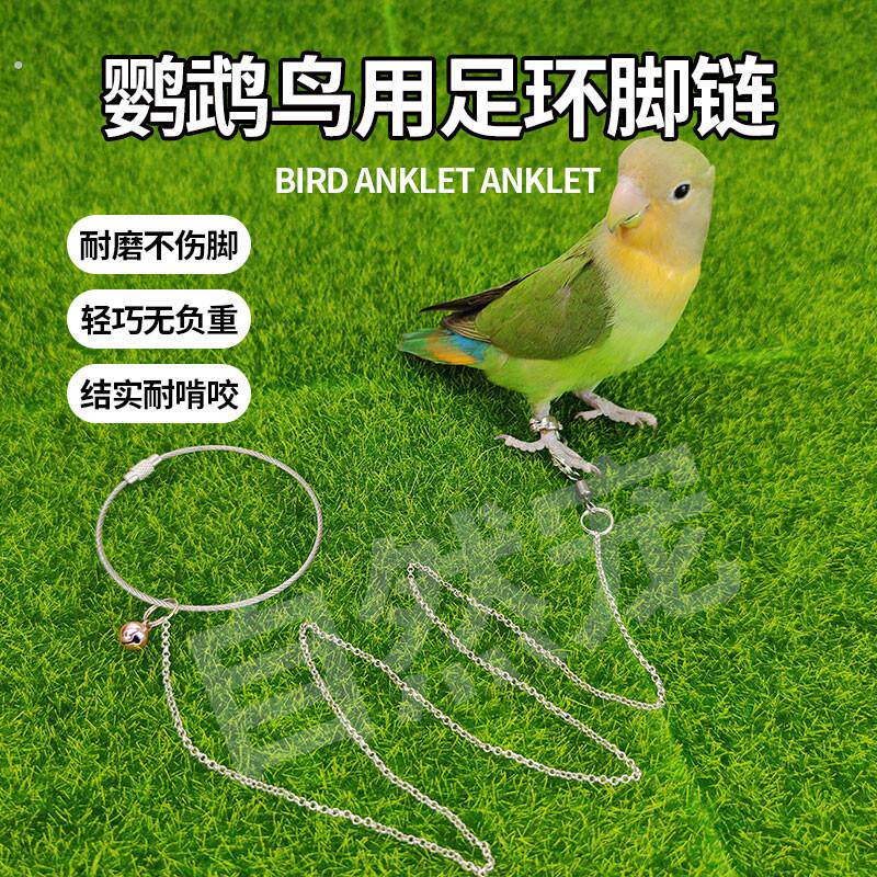 不锈钢鹦鹉脚链虎皮牡丹玄凤八哥开口足环栓鸟遛鸟放飞行牵引绳子