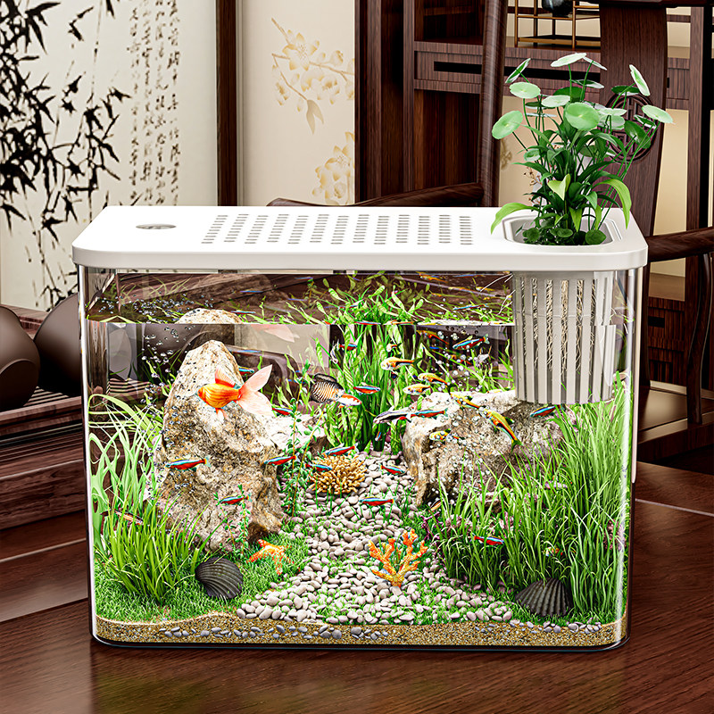 桌面生态鱼缸透明塑料金鱼缸带盖客厅造景耐摔桌面缸办公室创意缸,宠物/宠物食品及用品,桌面缸,淘宝优惠券,粉丝福利购,淘宝优惠卷
