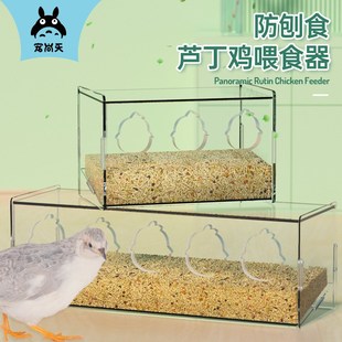 宠尚天芦丁鸡自动喂食器防刨食雏鸡鹌鹑鸽子食槽食盒防溅造景用品
