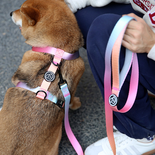 狗狗牵引绳狗链子项圈宠物胸抱婴袋泰迪柴犬柯基法斗中小型犬遛狗