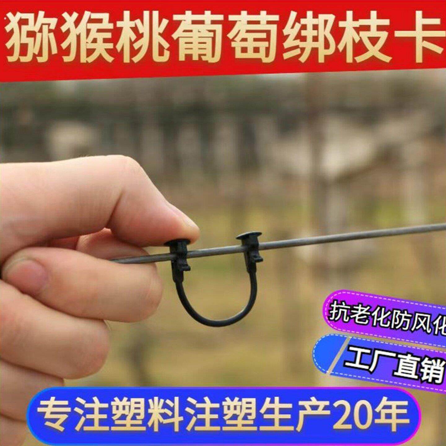 葡萄猕猴桃绑枝卡扣蓝莓树苗枝条固定卡绿植塑料绑枝器绑枝丝卡扣